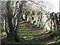 Stone stile in wall above Oakeydean Burn