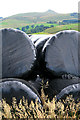 Wrapped silage