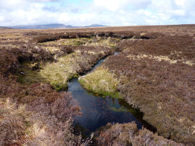 A drier section of the Moine bog
