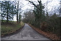 TQ6631 : Lane heading south from Birchett's Green by N Chadwick
