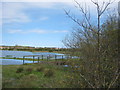 Cart bridge over drain at Boldon Flats