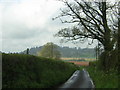 Hollis Head: looking down the lane from no.3