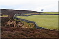 The edge of the access land on Barden Fell