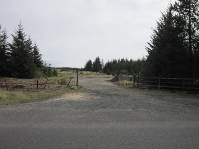 A forest track near Spadeadam