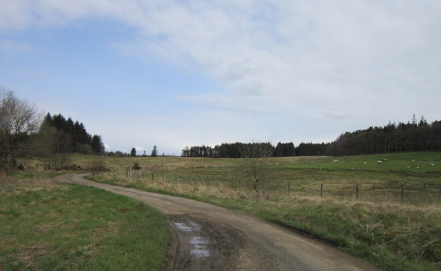 The farm track to Middle Shield Farm