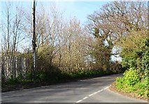 TG4904 : Mill Road, Bradwell, Suffolk by nick macneill