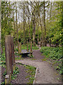 The Adventure Play Area, Blackleach Country Park