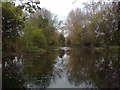 Adderbury Lake (the northern end, looking south)