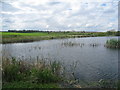 Stanley Ferry flashes (4)