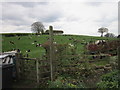 The path to Lees Hill