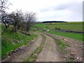 Footpath north of Penny Hill