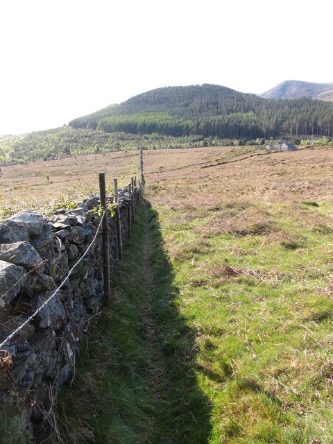 Stone wall and path linking Curraghard and Drinnahilly mountains