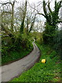 Narrow lane to Denby Hall