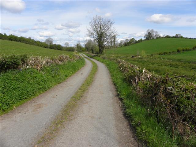 Road at Drumbrawn © Kenneth Allen :: Geograph Ireland