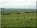 SK0383 : Western View from Chinley Churn by John Topping