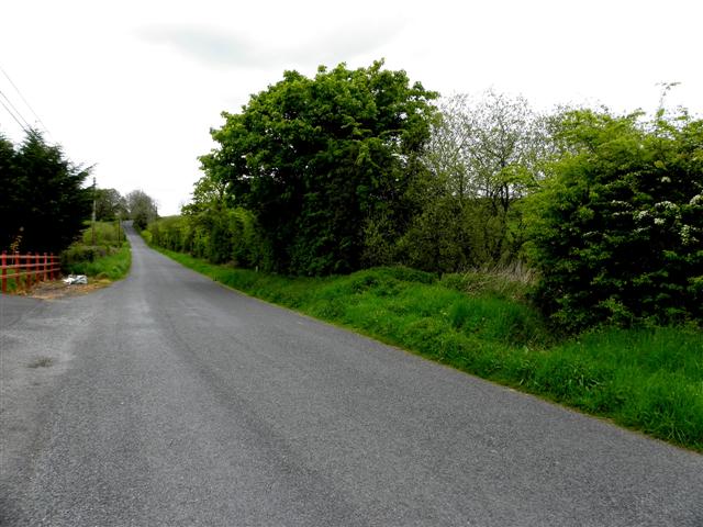 Road at Treehoo