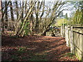 Narrow gate on path by stream,  Foxcote