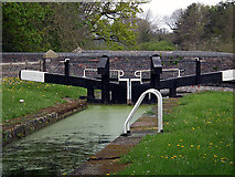 SJ2612 : Bank Lock on the Montgomery Canal by John Lucas