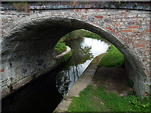 SJ2612 : Bridge 109 on the Montgomery Canal at Tirymynach by John Lucas