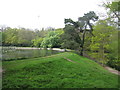 Embankment of Shornden Reservoir