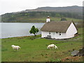 Thatched cottage at Kilfinichen