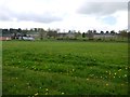 Former playing field, Prudhoe Hospital