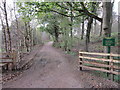 A path to Low Gelt, Hayton High Estate