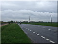 Ely Road (A142),  towards Soham