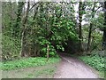 Old road, Cleddon