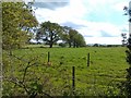 Field and trees south of Workman