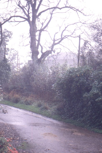 Looking down the lane at Marks