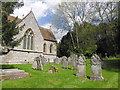 Saint Mary, Alderbury: churchyard (c)