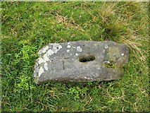 NS4380 : Boundary marker at Hill of Standing Stones by Lairich Rig