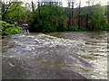 Ford on the River Skell