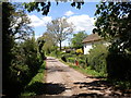 Cottages and lane at Tarrents