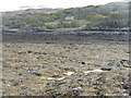 Killunaig Old Church from Sgeir Mhor