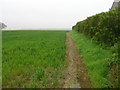 Footpath off the B1115