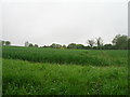 Farmland, Balls Hill