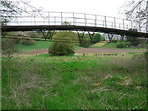 NO8485 : Footbridge by Liz Gray
