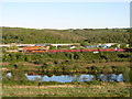 Coal train beside the Ely