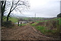 Muddy track to Boarsbarrow Farm