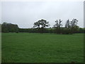 Farmland near Bildeston