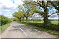 Trees along Bethersden Road