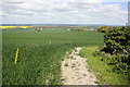 View north over farmland from footpath