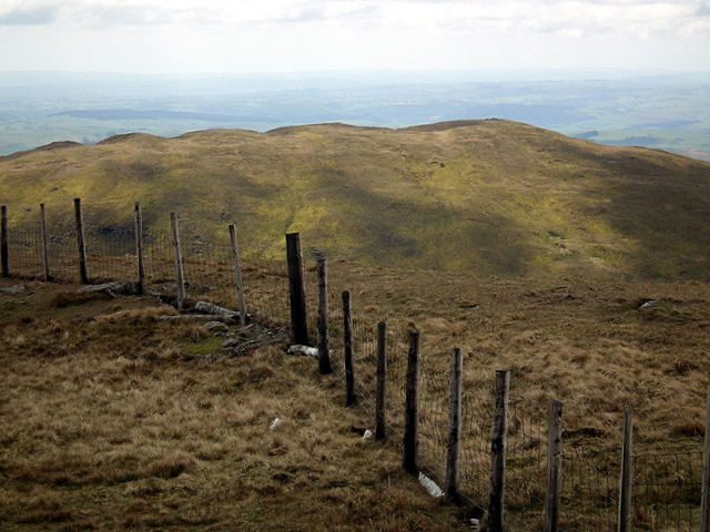 The fence that divides the Plynlimon ridge