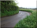 Lane towards Higham