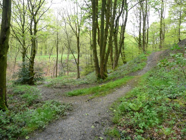 Link path from Sowerby Bridge Footpath 134 to the railway path, Norland