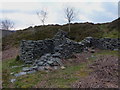 SJ1038 : Nant Fach sheepfold I and shelter by Richard Law