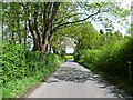 Looking along Comp Lane