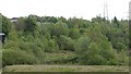 Woodland above Firhill Basin